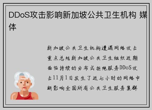 DDoS攻击影响新加坡公共卫生机构 媒体